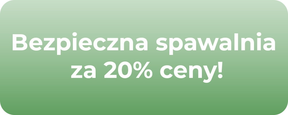 Bezpieczna spawalnia za 20% ceny!